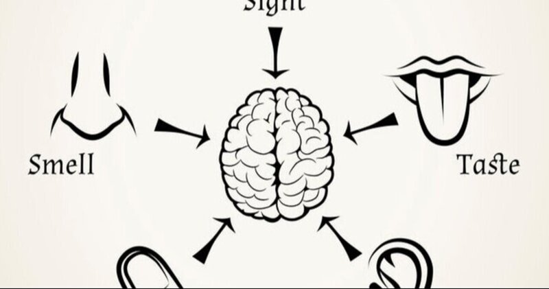 体性感覚 の新着タグ記事一覧 Note つくる つながる とどける