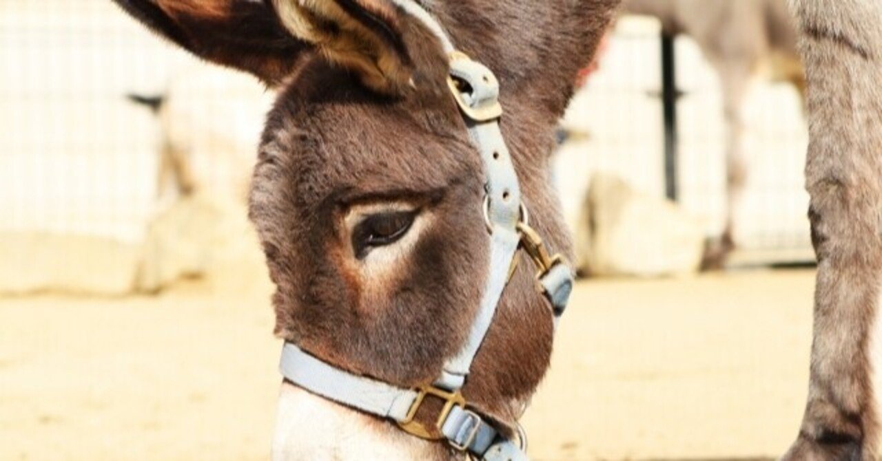 ロバを連れている老夫婦 六角明雄 中小企業診断士 経営コンサルタント ビジネス書作家 Note