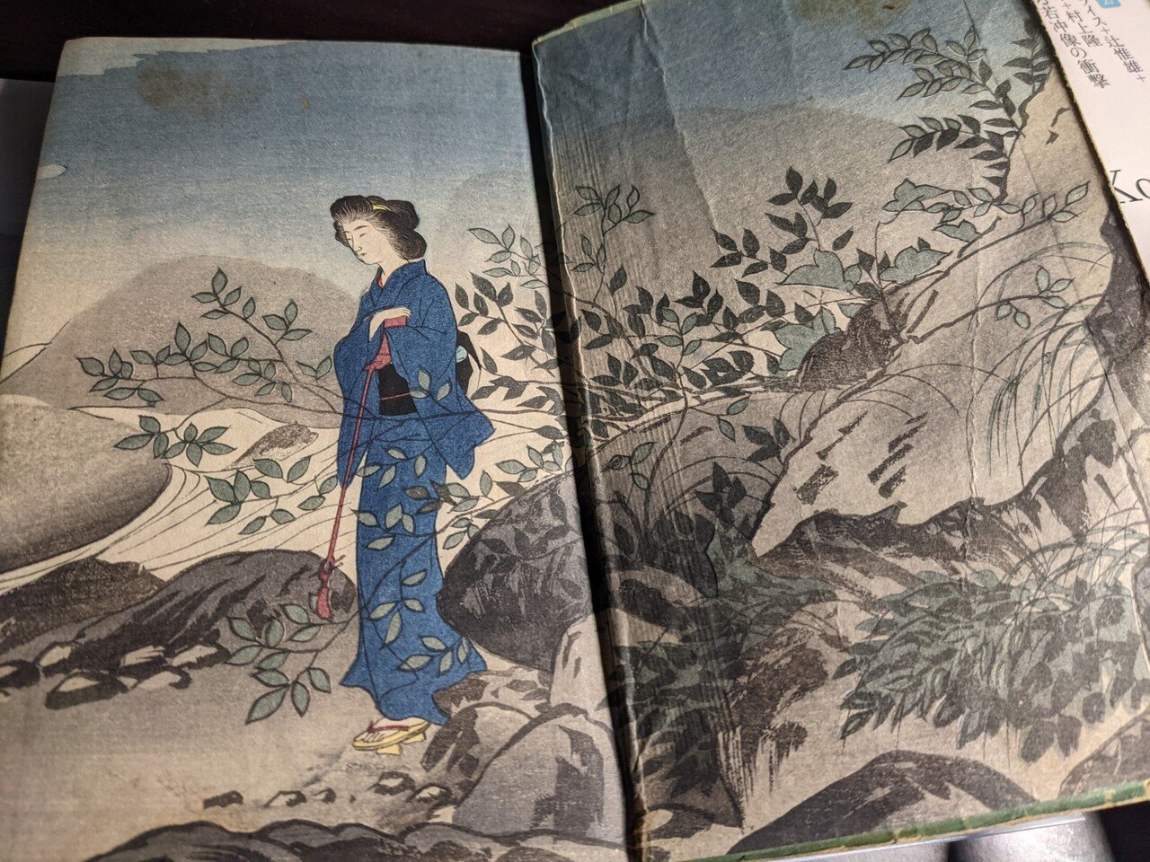 Amazon.co.jp: 初稿・山海評判記 : 泉鏡花, 田中励儀, 小村雪岱