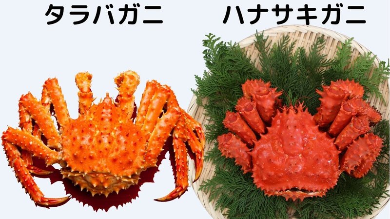 収斂進化ー カニ への進化を繰り返した甲殻類の系譜が明らかに フランク ロイド Note 収斂進化ー カニ への進化を繰り返した甲殻類の系譜が明らかに フランク ロイド Note