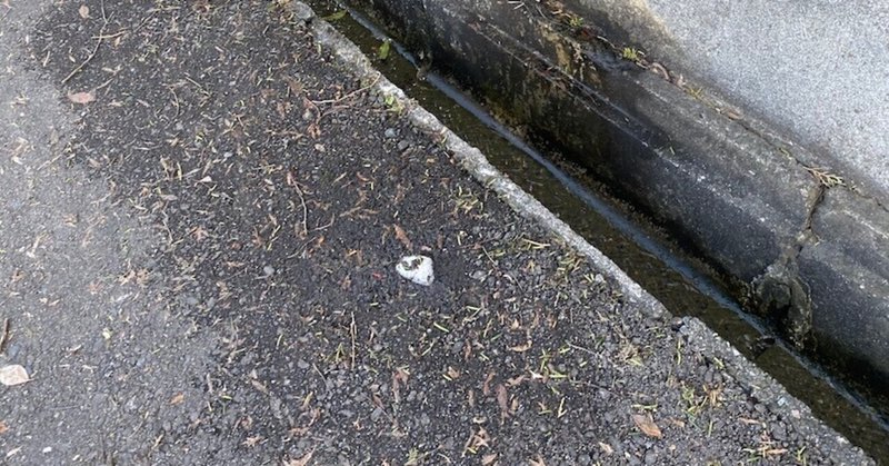春になれば雪はとける そして花粉に苦しむ 石野正彦 Note 春になれば雪はとける そして花粉に苦しむ 石野正彦 Note