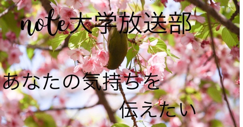 みょぴいさんからのリクエスト 桜音 Byピコ やよい 薬剤師 心と体の元氣プロデューサー Note みょぴいさんからのリクエスト 桜音 Byピコ やよい 薬剤師 心と体の元氣プロデューサー Note