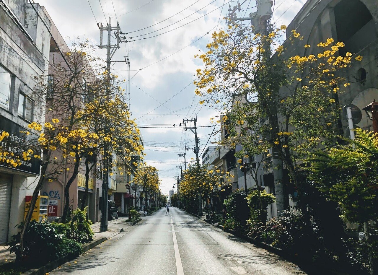 イペーの花 すいの Happyjoy Note