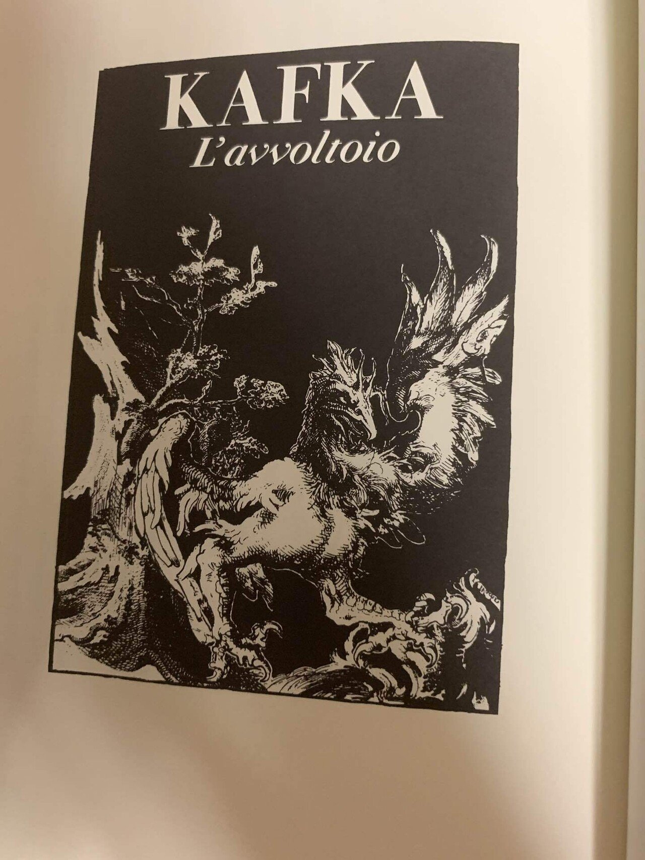Jorge Luis Borges｜OHNO Hiroshi