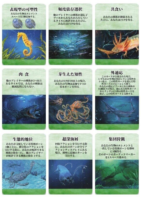 ドミナントスピーシーズ 和訳ルール•シール付き うちばこや別注