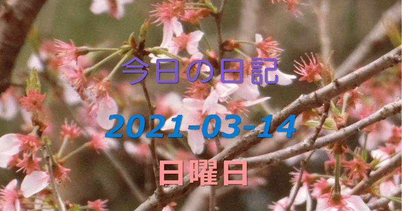 2021-03-14【断鎖 -AC-】