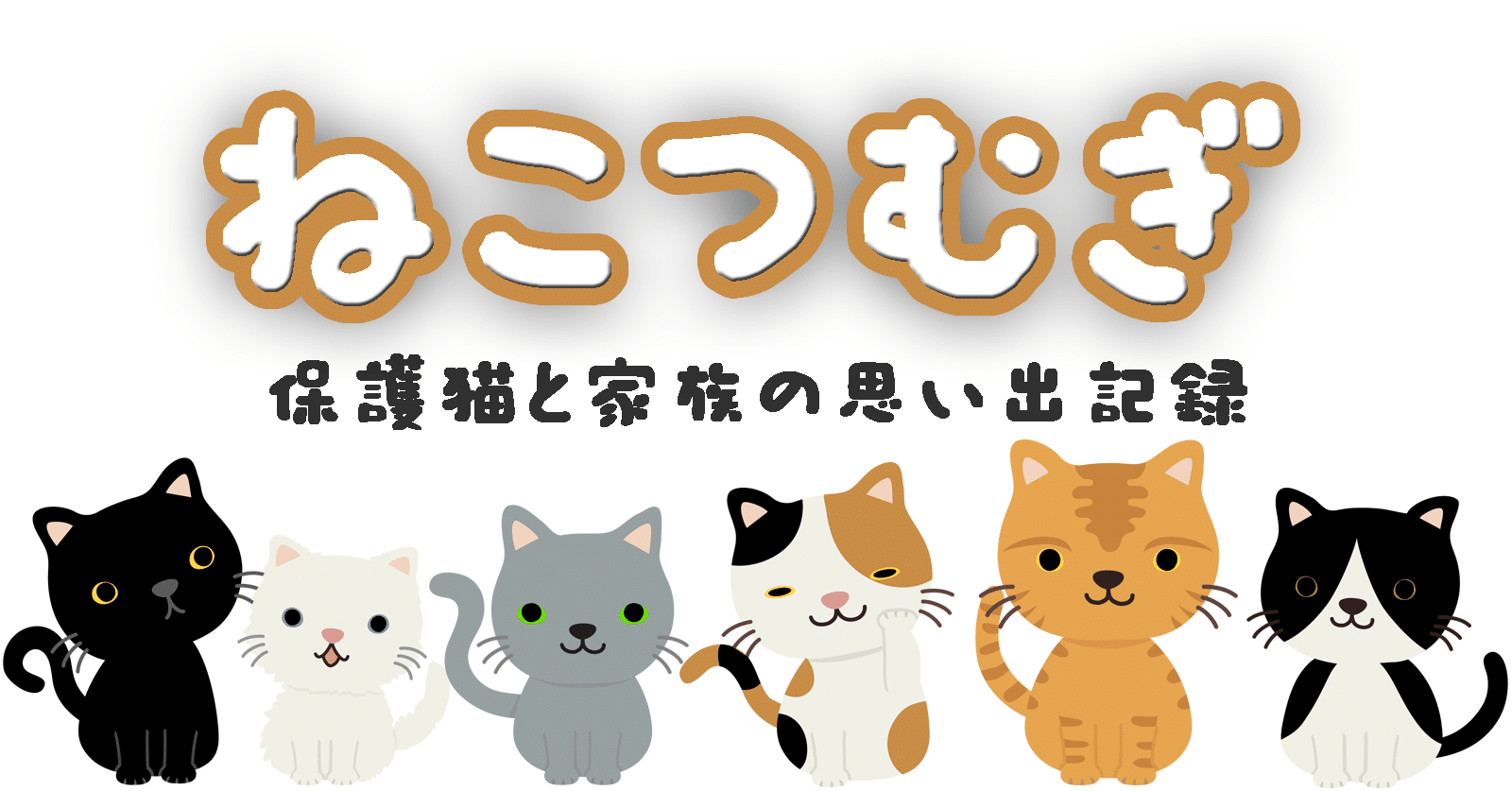 ねこつむぎ 保護猫のお話を伺わせてください ふじかわ陽子 Note ねこつむぎ 保護猫のお話を伺わせてください ふじかわ陽子 Note