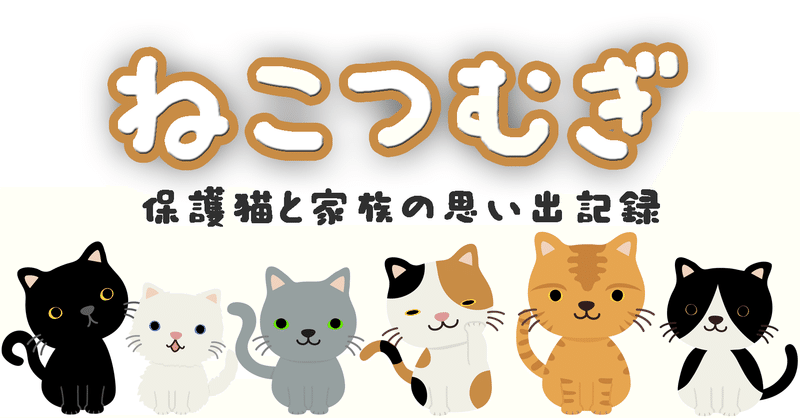 ねこつむぎ 保護猫のお話を伺わせてください ふじかわ陽子 Note