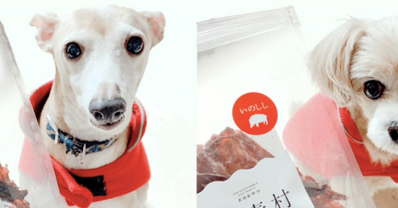 イノシシをつかった 島素材 は 低カロリー 高タンパク ビタミン豊富と3拍子 島素材 宗像大島の天然の猪や魚介をつかった無添加ペットフード Note イノシシをつかった 島素材 は 低カロリー 高タンパク ビタミン豊富と3拍子 島素材 宗像大島の天然の猪や魚介をつかった無添加ペットフード Note