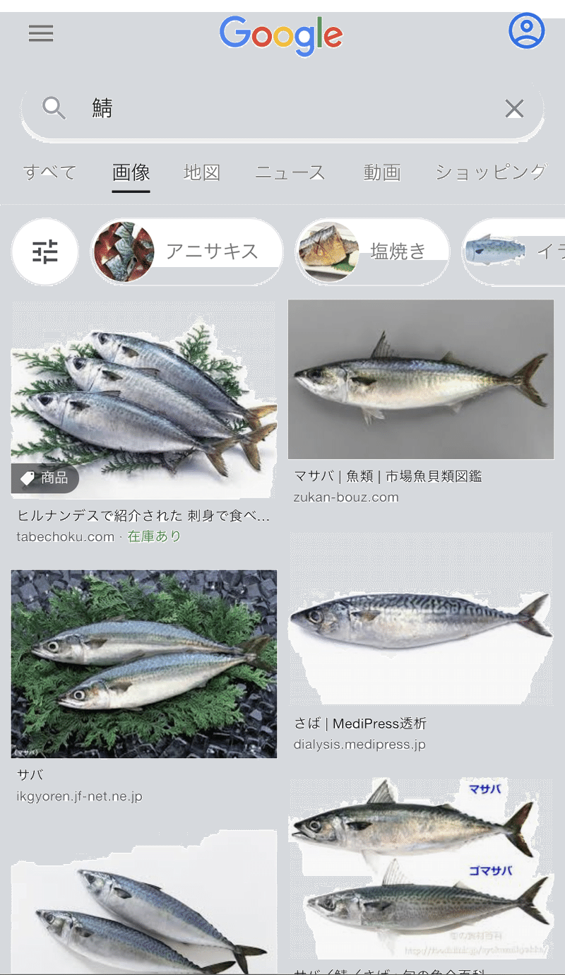 アニメ制作記 魚乙女 うおとめ 編 サバ キャラデザイン Midinco Note