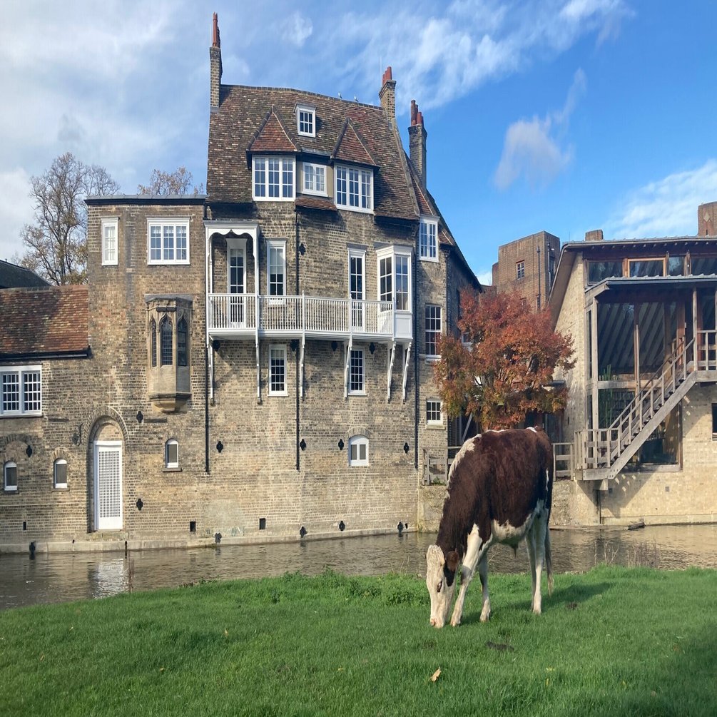 ケンブリッジ大学組み分け帽子：修士編｜ケンブリッジ後記