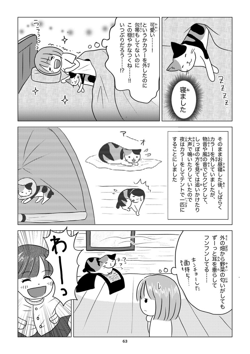 しっぽを切ったつくねちゃん Miyarn Note