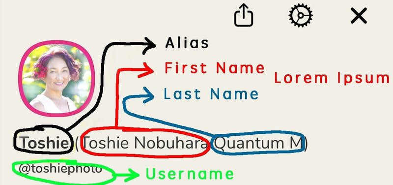 クラブハウスのユーザーネームとフルネームの名前変更依頼 英語の要望メールのテンプレート 自由に使ってね Toshie Nobuhara Quantum Matching 国際婚活 国内婚活エージェンシー Note