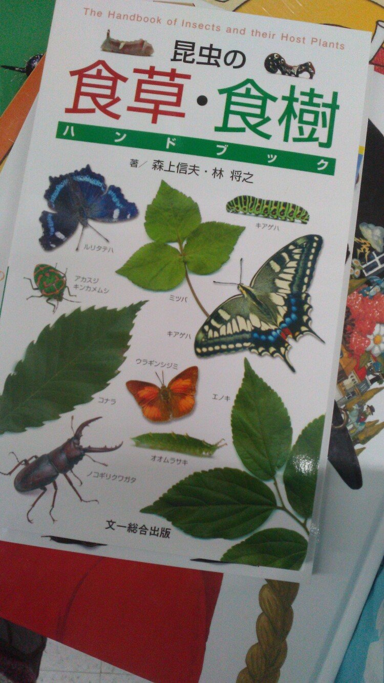 Images Of イタリア人の一覧 Japaneseclass Jp Images Of イタリア人の一覧 Japaneseclass Jp