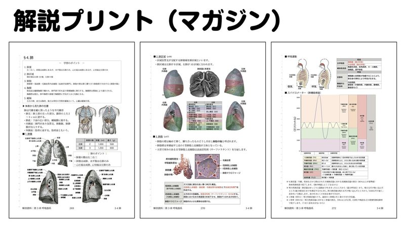 【徹底的国試対策】3-4 呼吸器系 - 肺.003