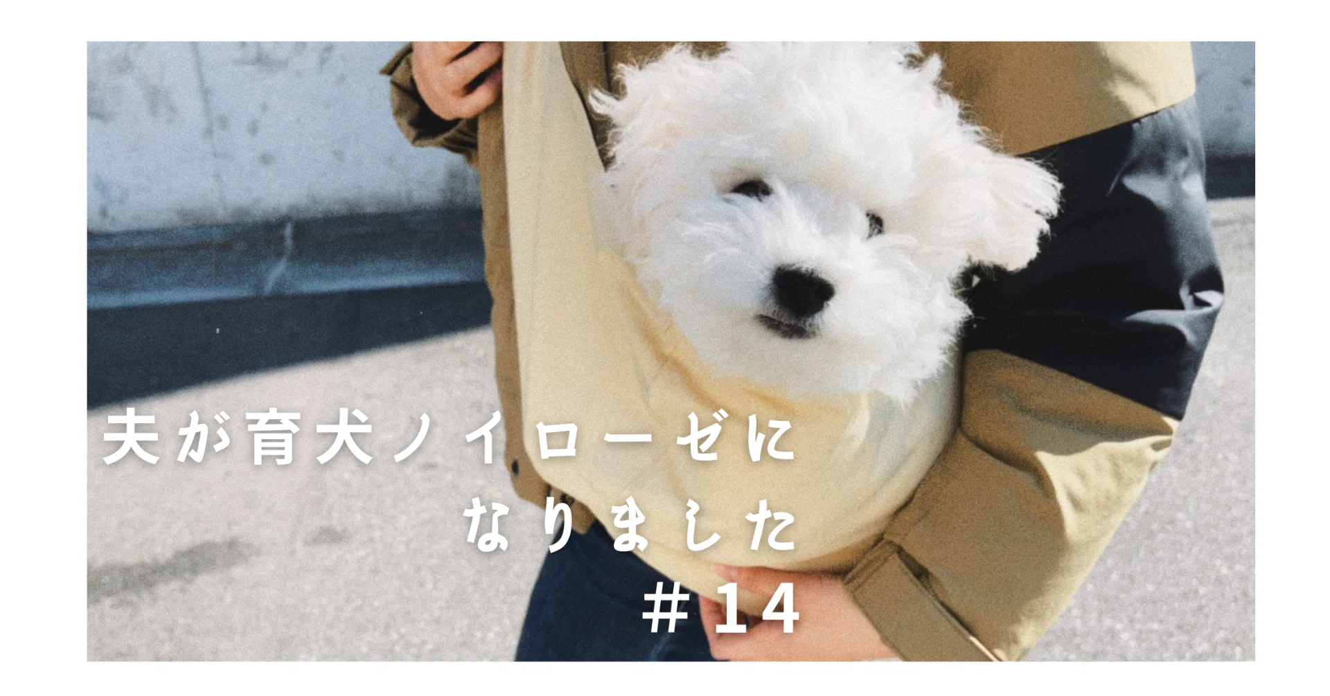 Jpsipokerqlax 最も好ましい 犬 怒られた時 震える 犬 怒られた時 震える