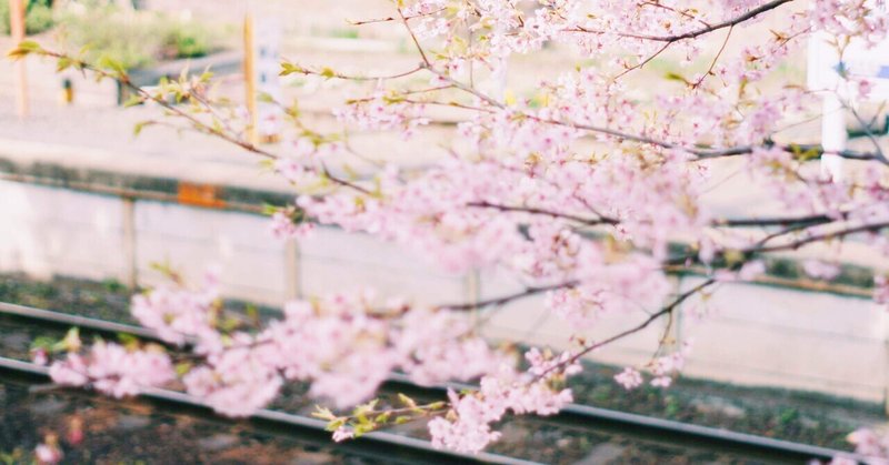 ひたちなかの秘境駅で秘密のお花見