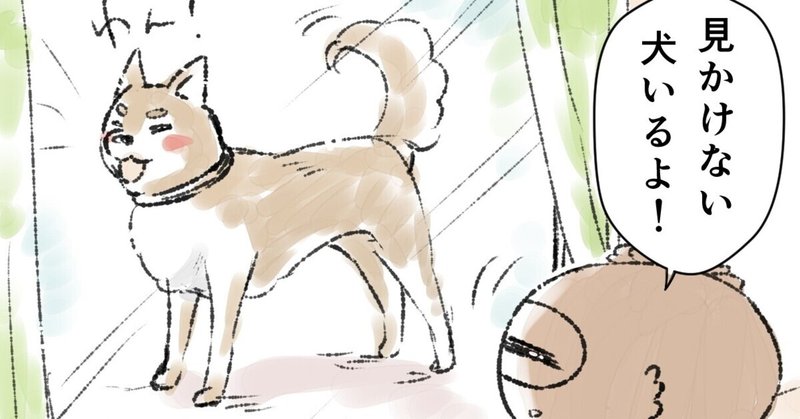 一晩で成長した犬 清水とーら Note