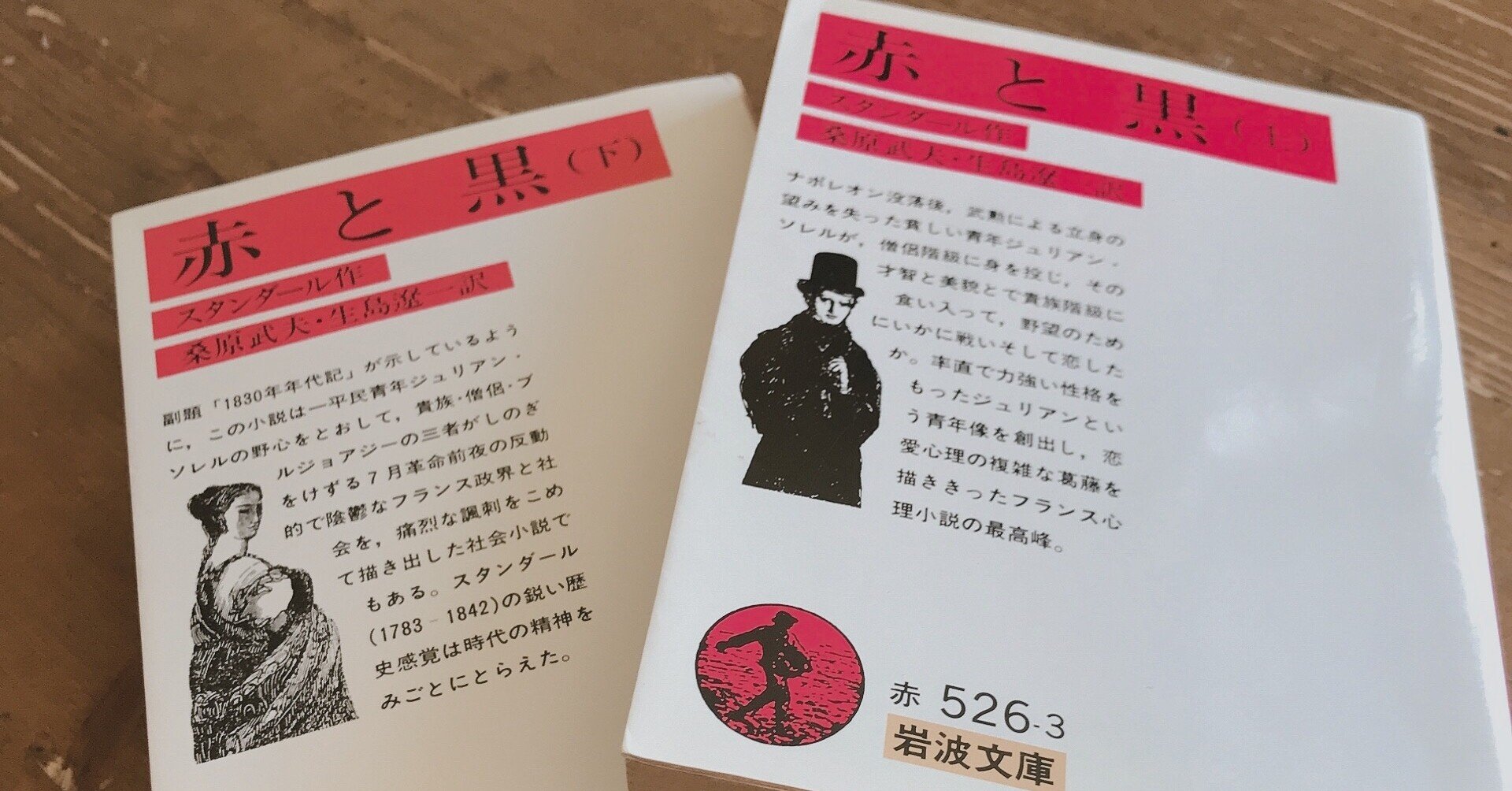 積みっぱなしで年 スタンダールの 赤と黒 を読む 河原藍 Kawahara Ai Note