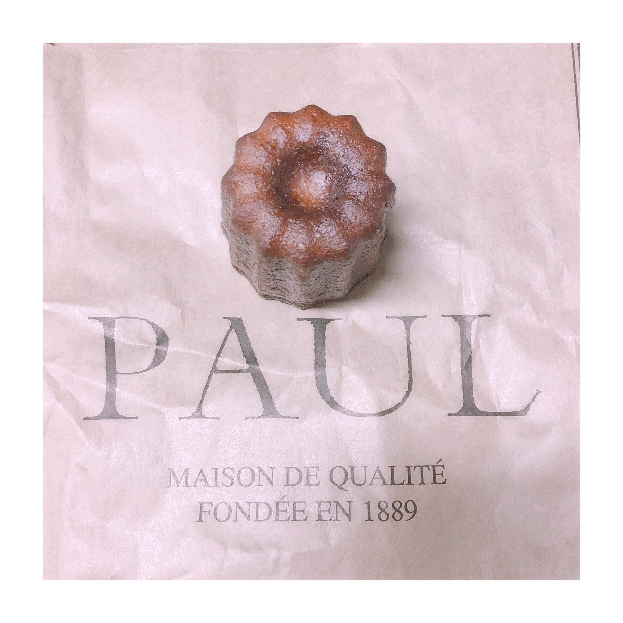 Paul パン屋さんのカヌレ チョコがけのクロワッサンもおいしい チョコクロワッサン 美味しそうに撮れず 真っ黒なかたまりと化す ゚ ゚இwஇ゚ ゚ Mimion Note Paul パン屋さんのカヌレ チョコがけのクロワッサンもおいしい チョコクロワッサン 美味しそうに撮れず 真っ黒なかたまりと化す ゚ ゚இwஇ゚ ゚ Mimion Note