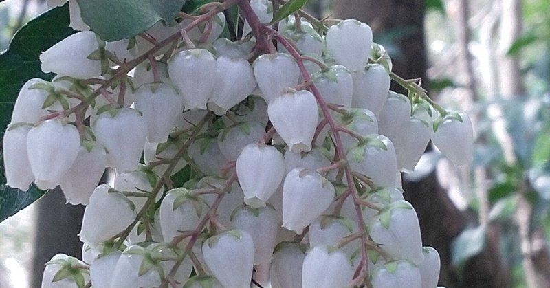 ターナーの汽罐車 の新着タグ記事一覧 Note つくる つながる とどける