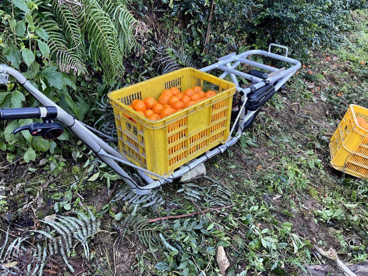 コンコンブル　人力車猫 CuboRex、ねこ車電動化キット「E-Cat Kit」累計販売台数1000台突破