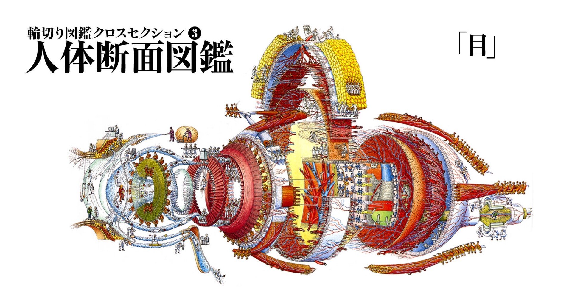 何でも輪切りにして その構造を徹底図解 細密画で描かれた驚異の百科図鑑 第3弾の紹介 Taku Note