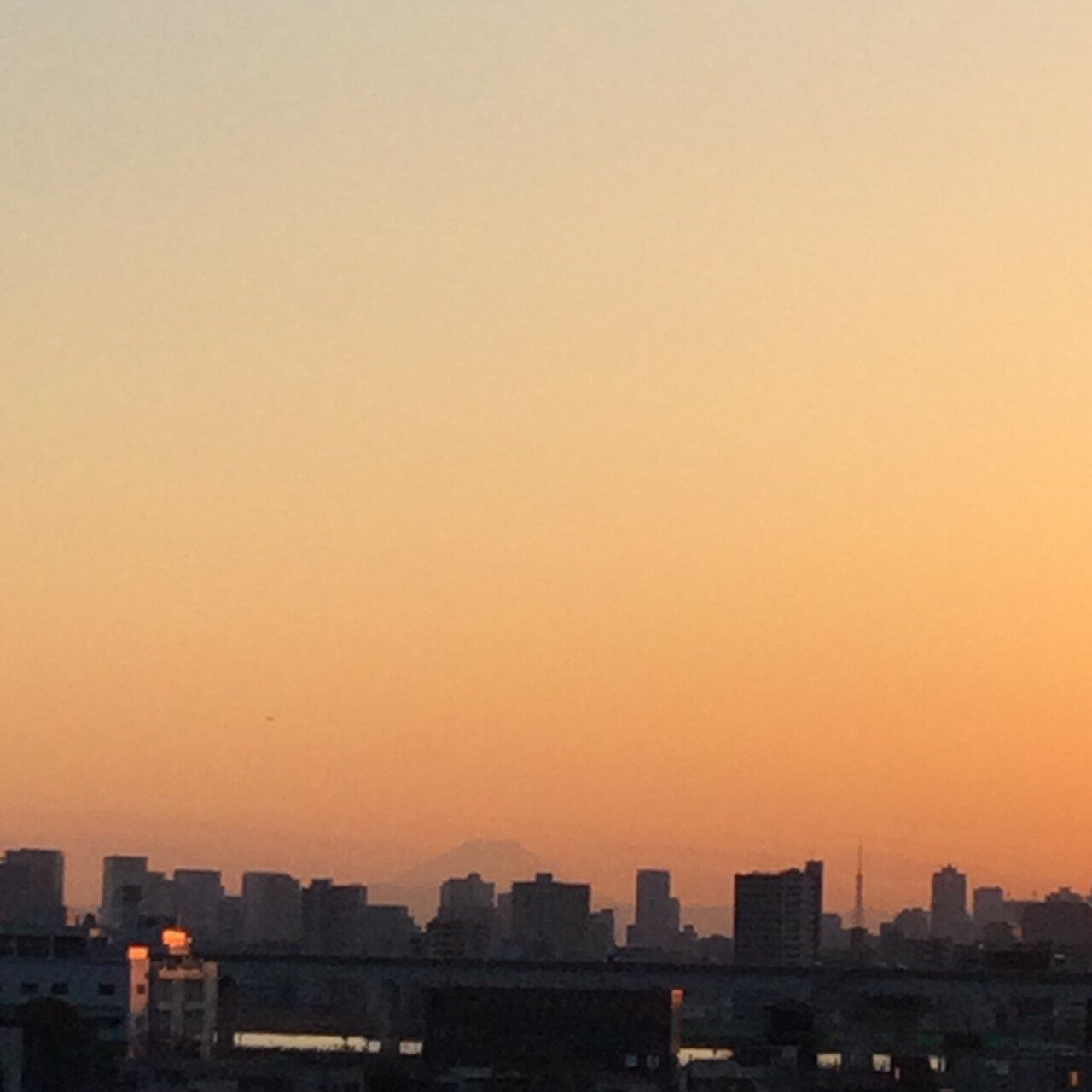 桜も咲いて おとじろ凸凹 Note