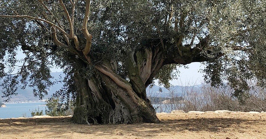 5cf03bfba26a882dc26823dd612001