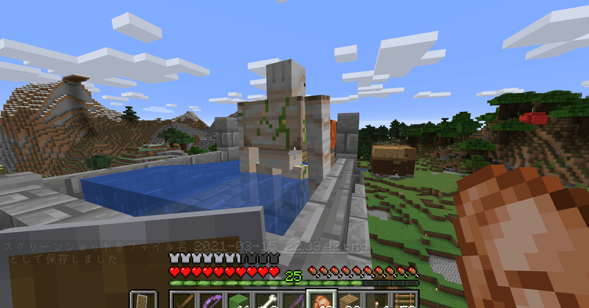 マイクラjavaedition 1 16 5 ゴーレムトラップが結構大変だった ねむすぎ Note