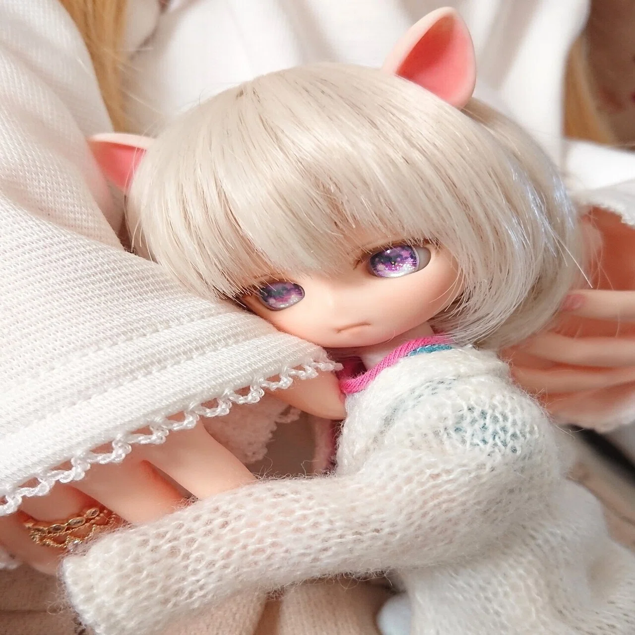 今年1月の新人さん（パラボックルLヘッド＆姫姉）｜まと