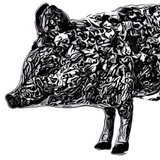 Mangalitza Records