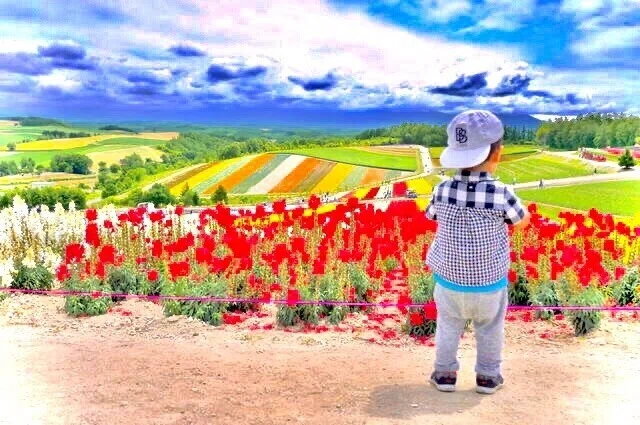 画像1