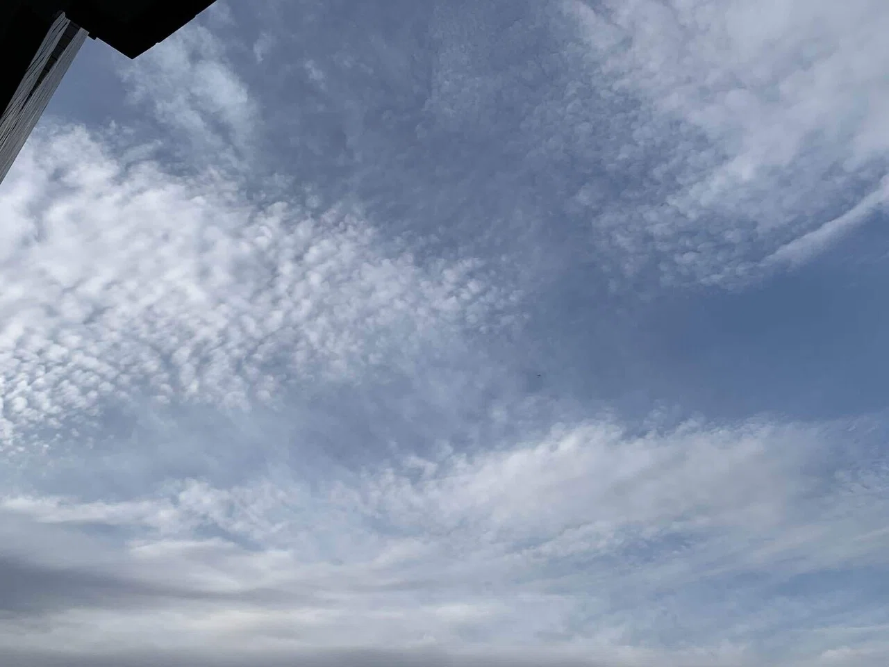 3月16日 火 曇り時々晴れ 明け方に地震があった 震度2だけどそのまま眠れず 今朝の空はうろこ雲 この雲大好きです いつまでも見てたい いわし雲 さば雲 ほんとの名前は巻積雲 けんせきうん Sora Note 3月16日 火 曇り時々晴れ 明け方に地震があった 震度2だけどそのまま眠れず 今朝の空はうろこ雲 この雲大好きです いつまでも見てたい いわし雲 さば雲 ほんとの名前は巻積雲 けんせきうん Sora Note