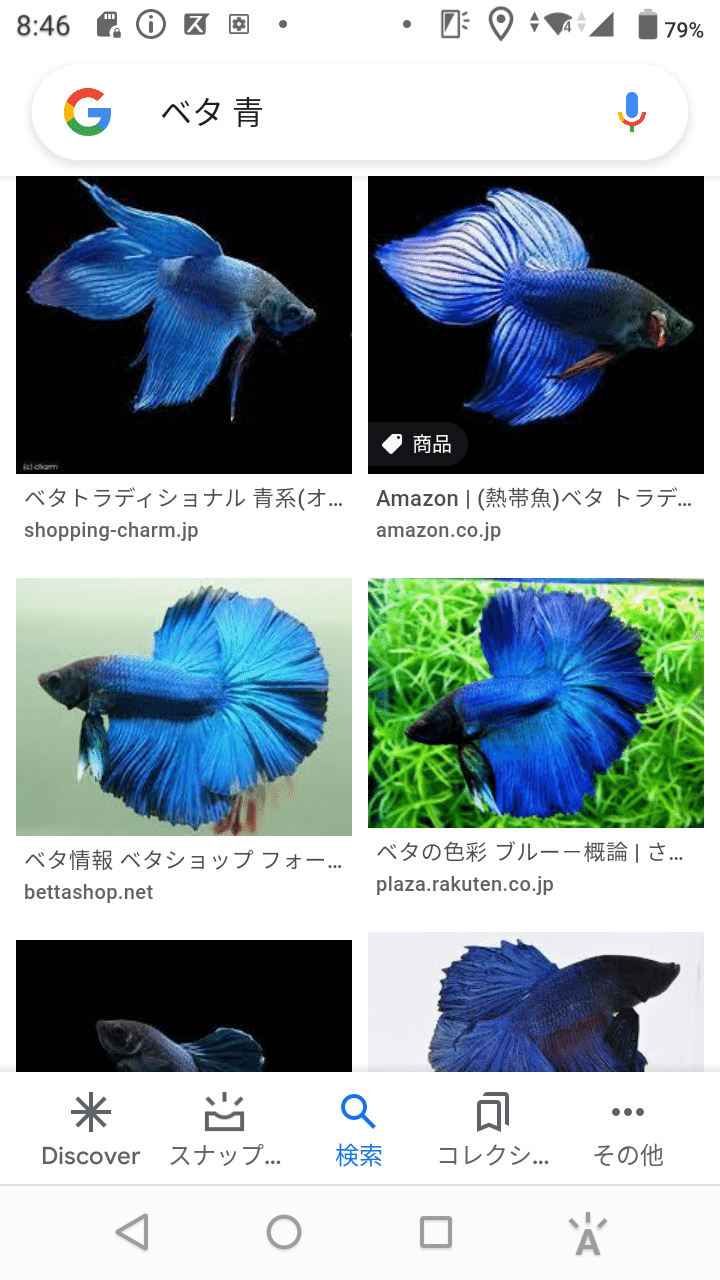 クリスマスプレゼントにエビをもらって飼った話 真咲ともか Note