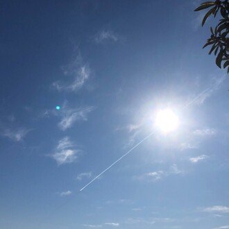 淀んだ沼が澄んだ水で溢れ始めたそんな朝 隣の人 Note