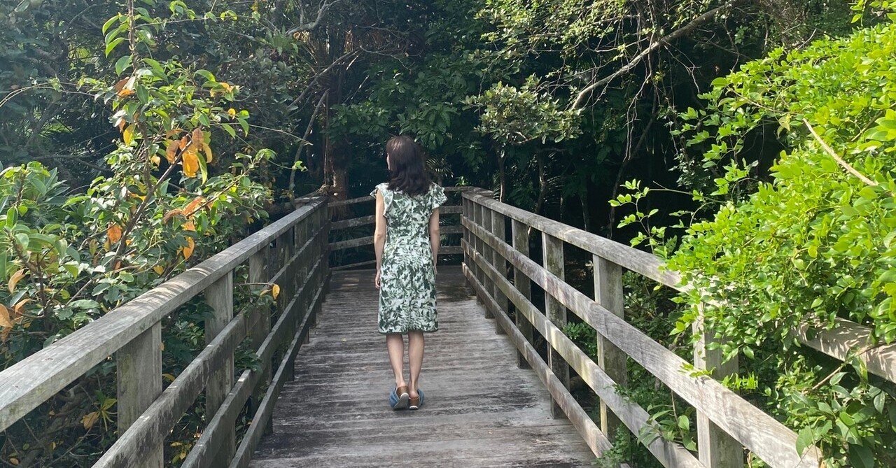 サキシマスオウノキ 森田涼花 Note