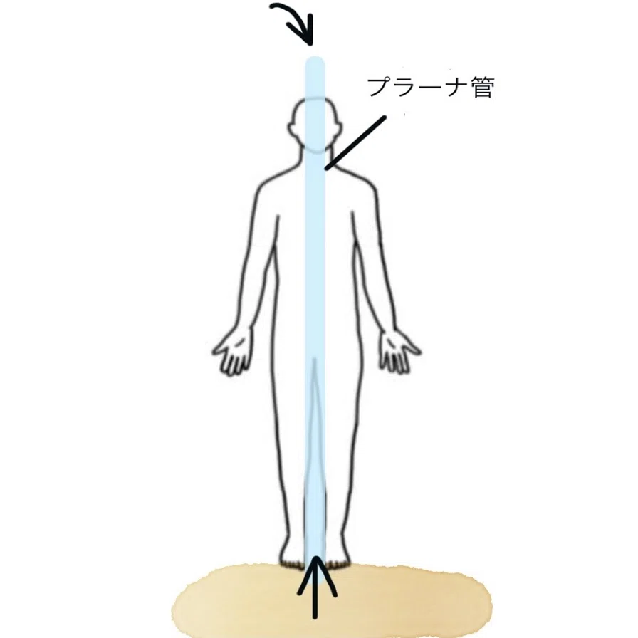 エクササイズ ハトホルの書より 1 Chiko Maia Note