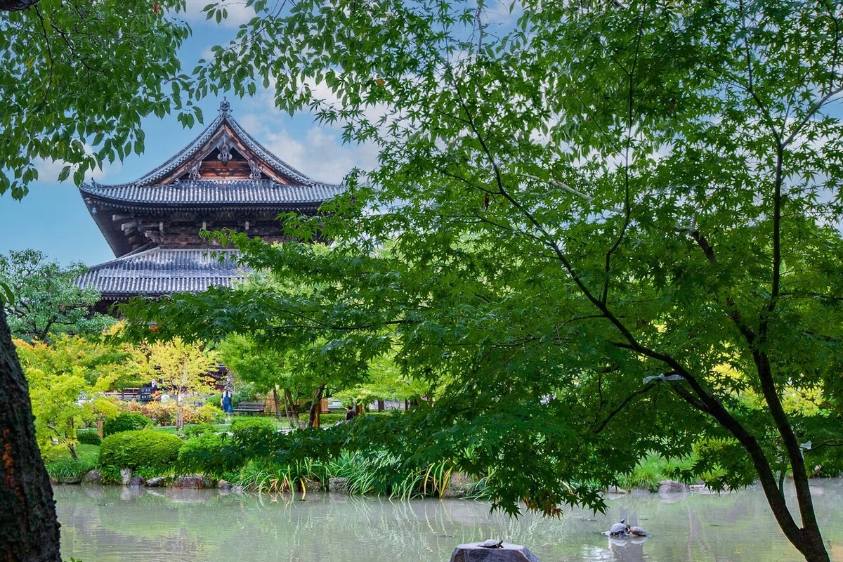 画像23
