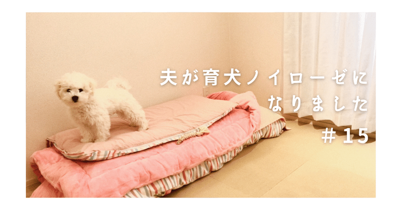 15 心配ないさ ボナママ Note 15 心配ないさ ボナママ Note