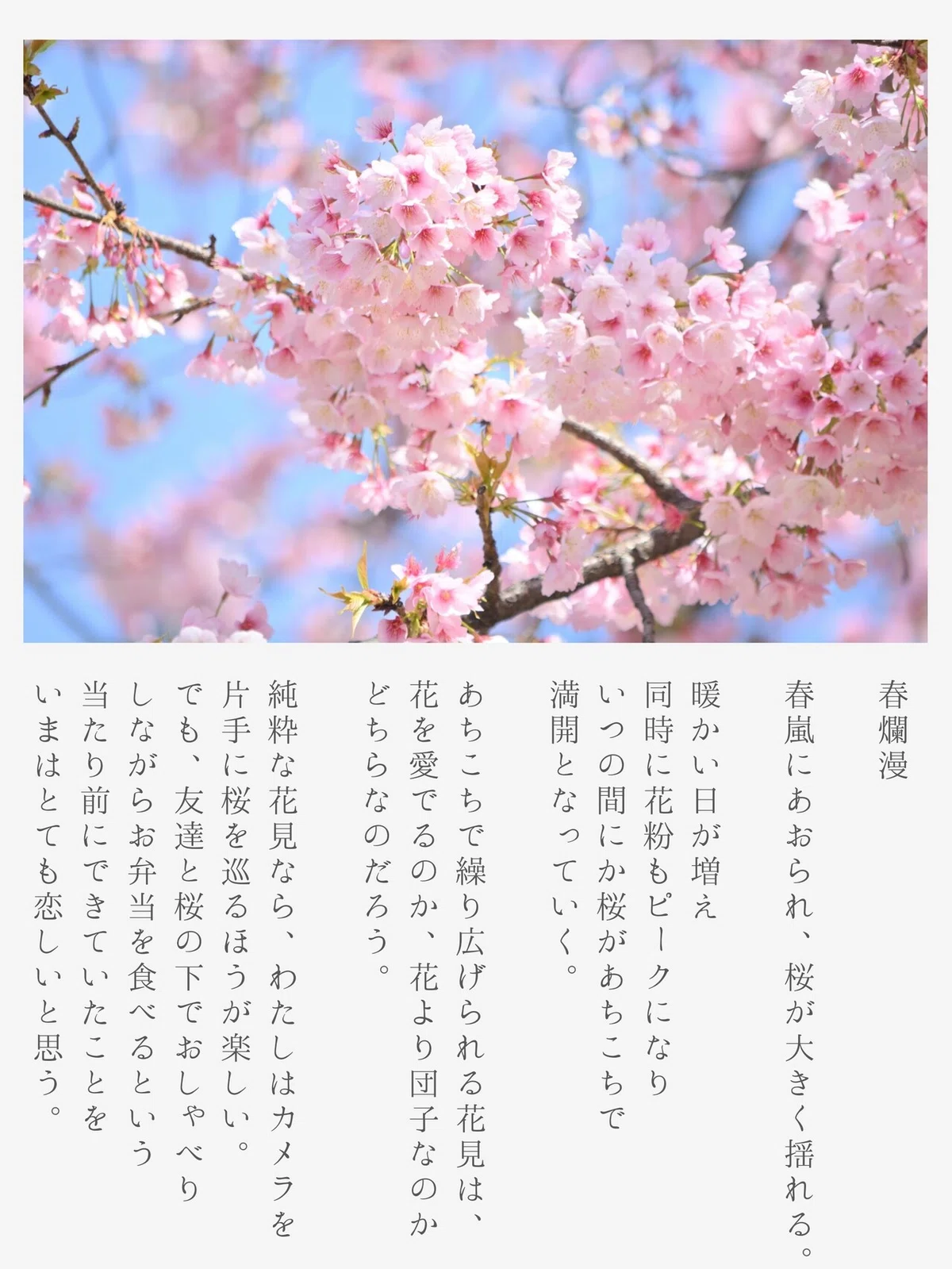 画像21