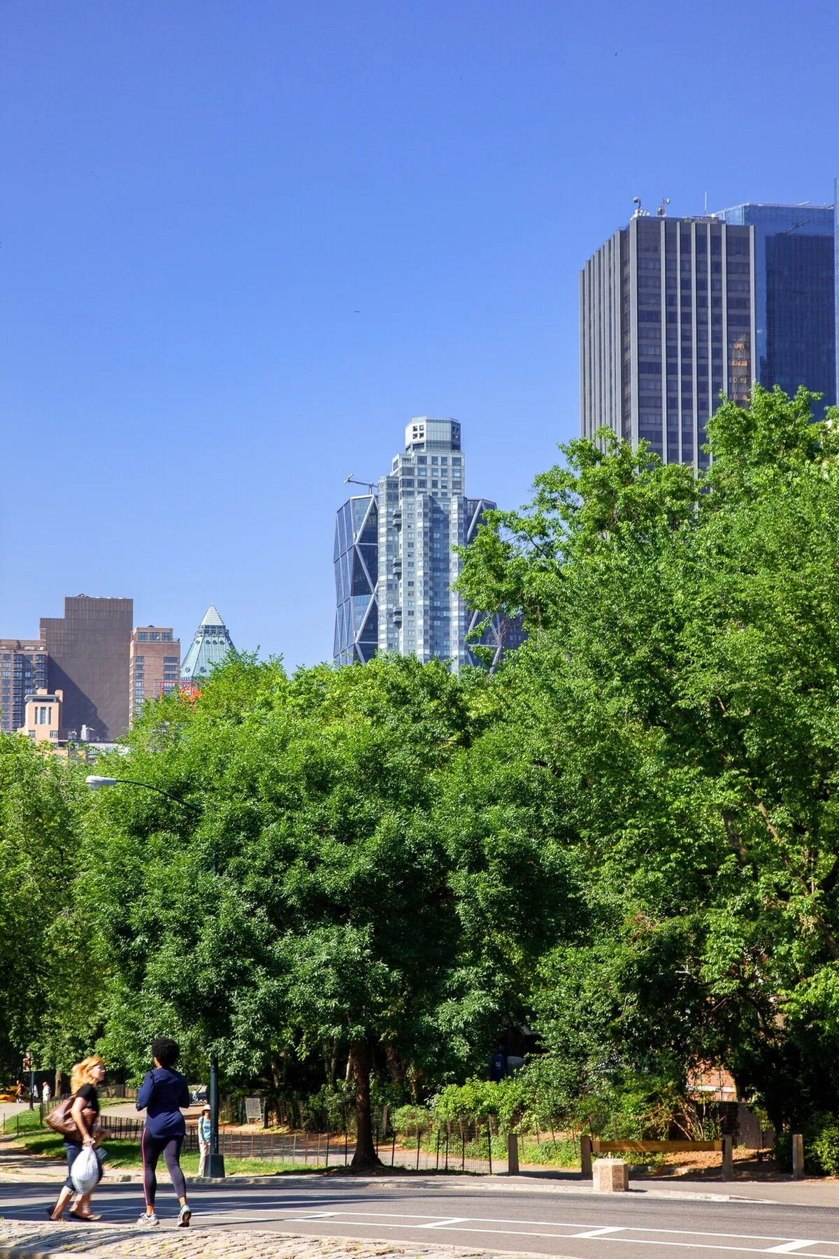 画像14