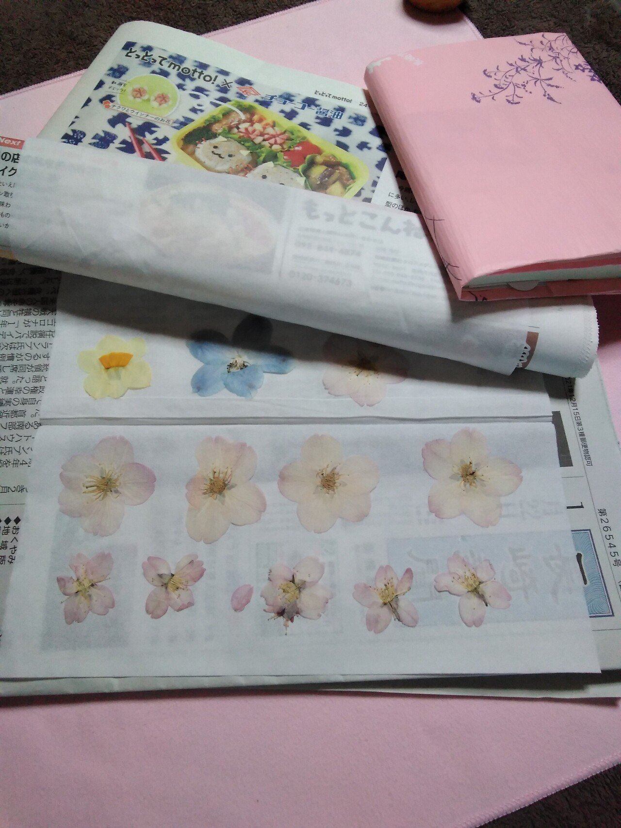 押し花をキレイに作るちょっとしたコツ Ai Note