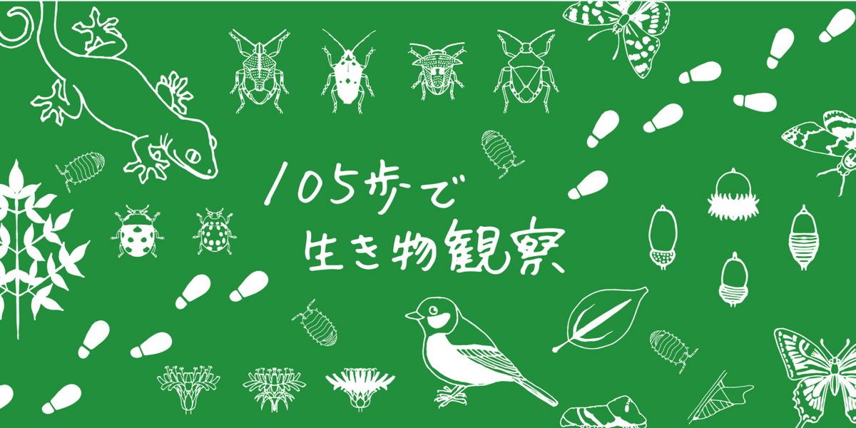 105歩で生き物観察ヘッダー