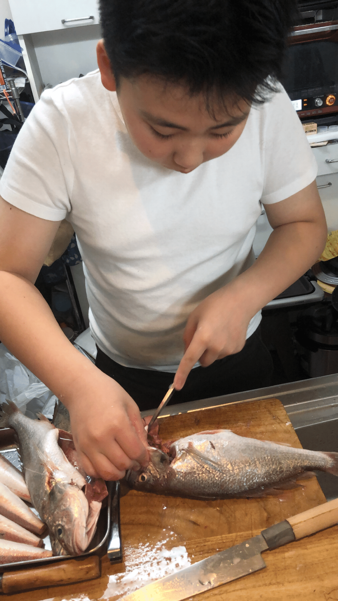 魚をさばく小学生 Kana99 Note 魚をさばく小学生 Kana99 Note