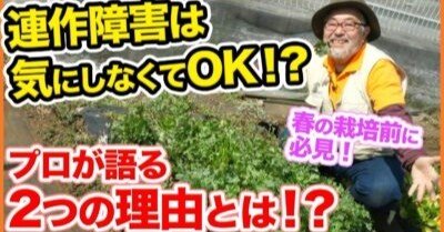 トマト ジャガイモ ナス 春植え野菜 連作障害は気にしなくてok 有機栽培のプロが語る２つの理由とは 家庭菜園 輪作 ３月 井上寅雄農園 井上隆太朗 Note