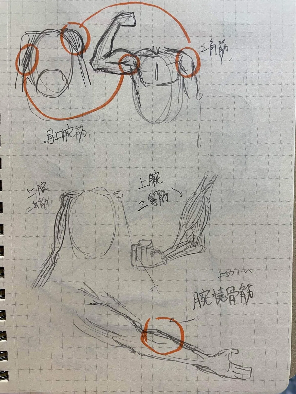 画像25