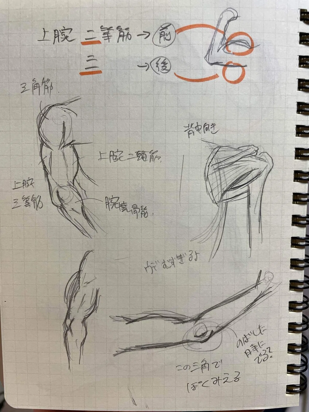 画像26