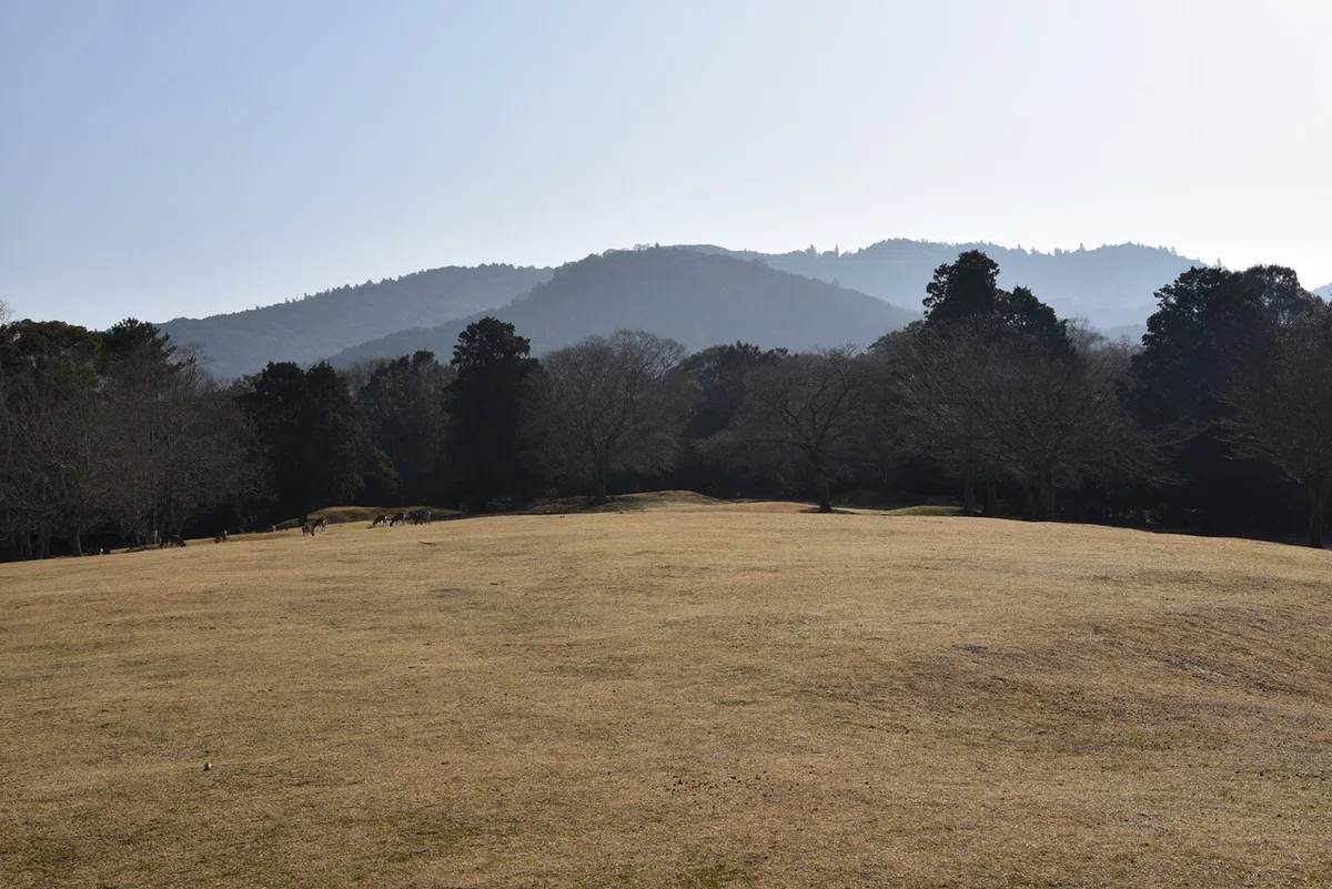画像9