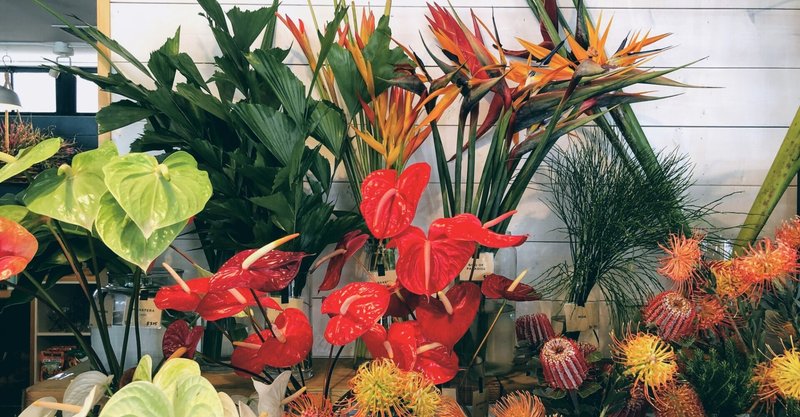 波動の低い人には意識して距離を取る 小山隆信 note